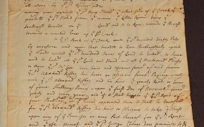 Message from a lost colony